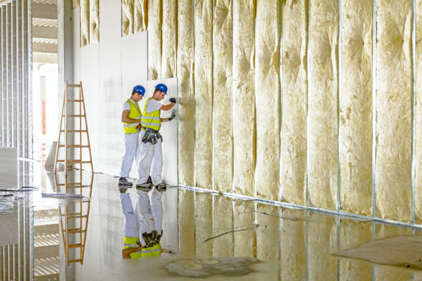 Best Residential Insulation in Bartlett, IL